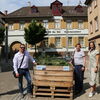 Hochbeet Kornhausplatz