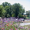 Zu sehen ist der Landschaftspark genannt Himmelsgarten mit den Dinos