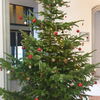 Zu sehen ist ein geschmückter Weihnachtsbaum im Rathaus